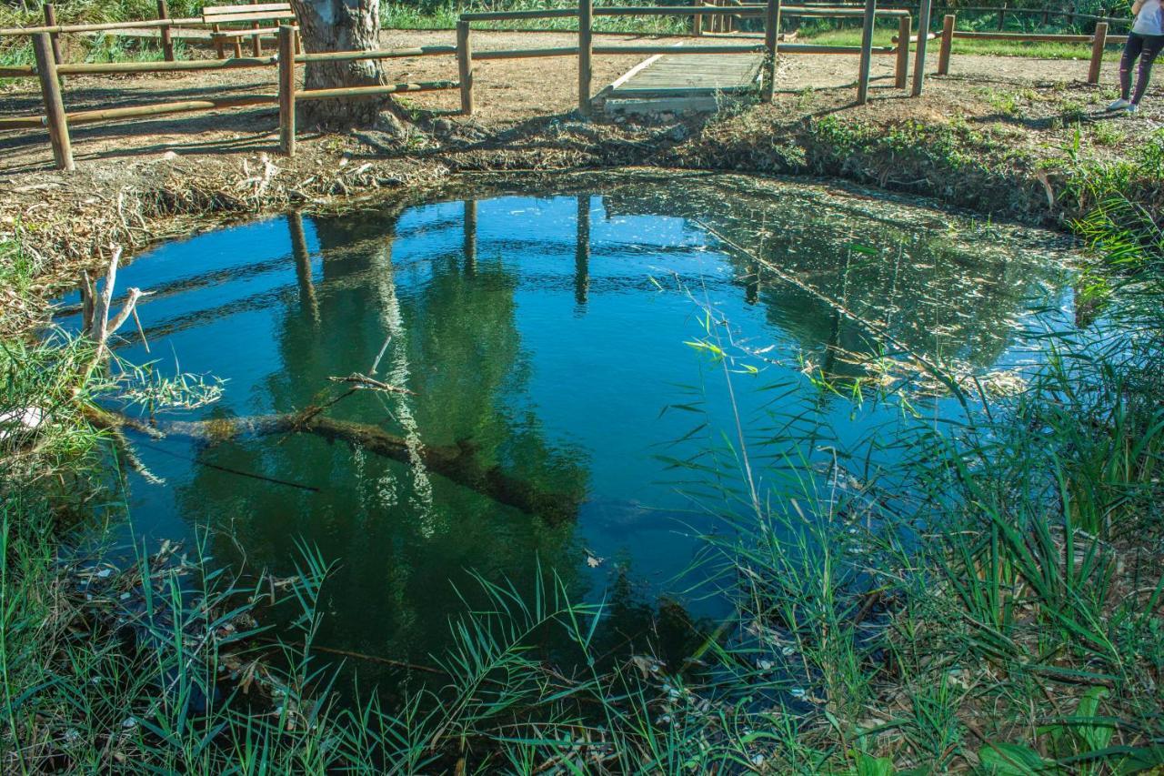 Paradise Ebro 2 Deltebre Dış mekan fotoğraf
